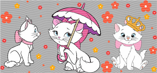 16oz Latest Bestseller-C 5562